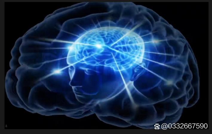 邻居一户人家的两份甜蜜